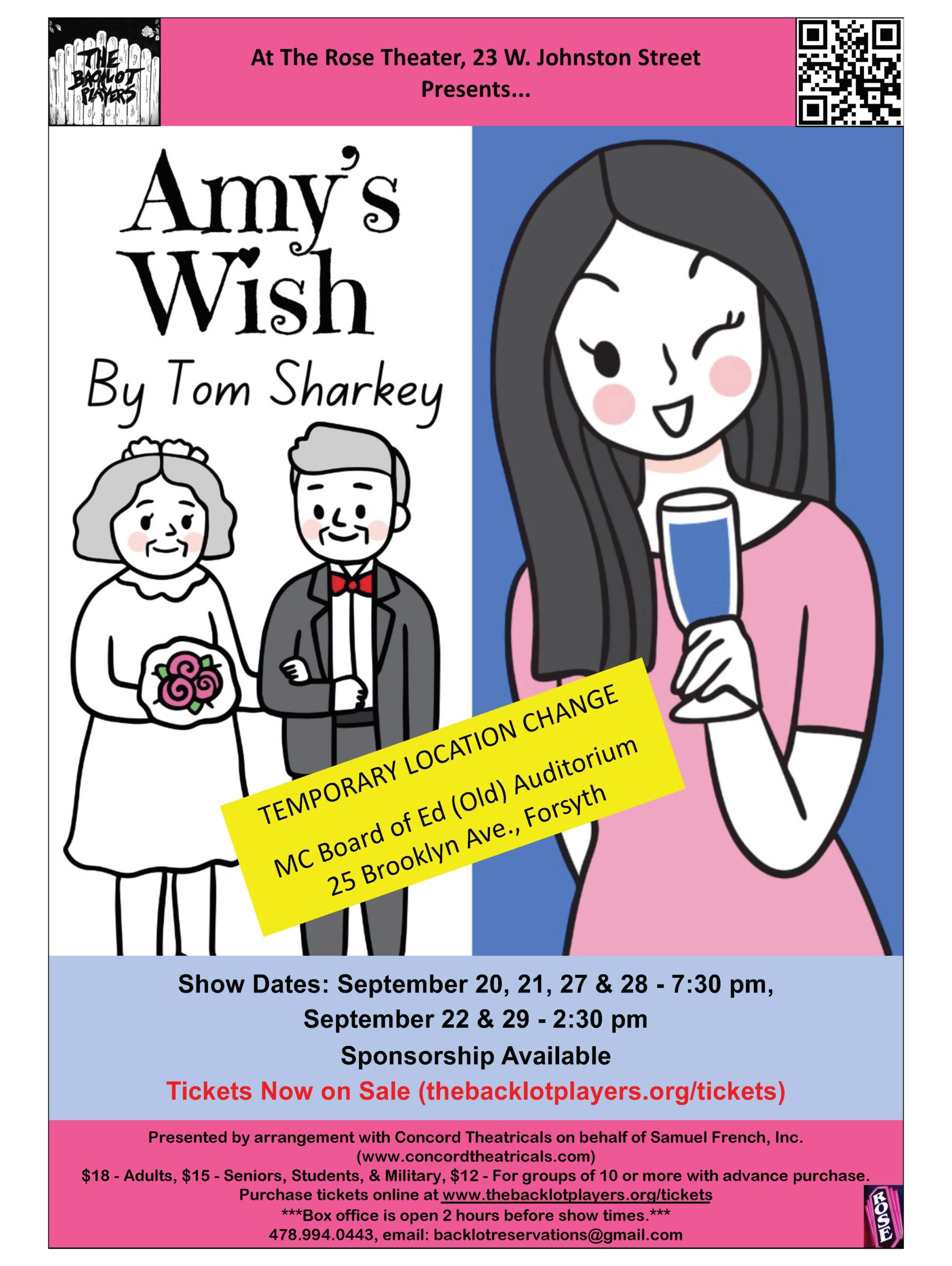 Updated Amys Wish Flyer 2024