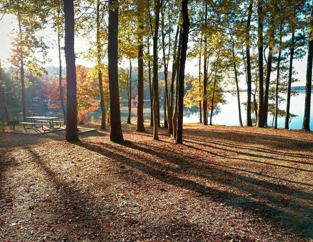 Fall picture of trees in Monroe County 