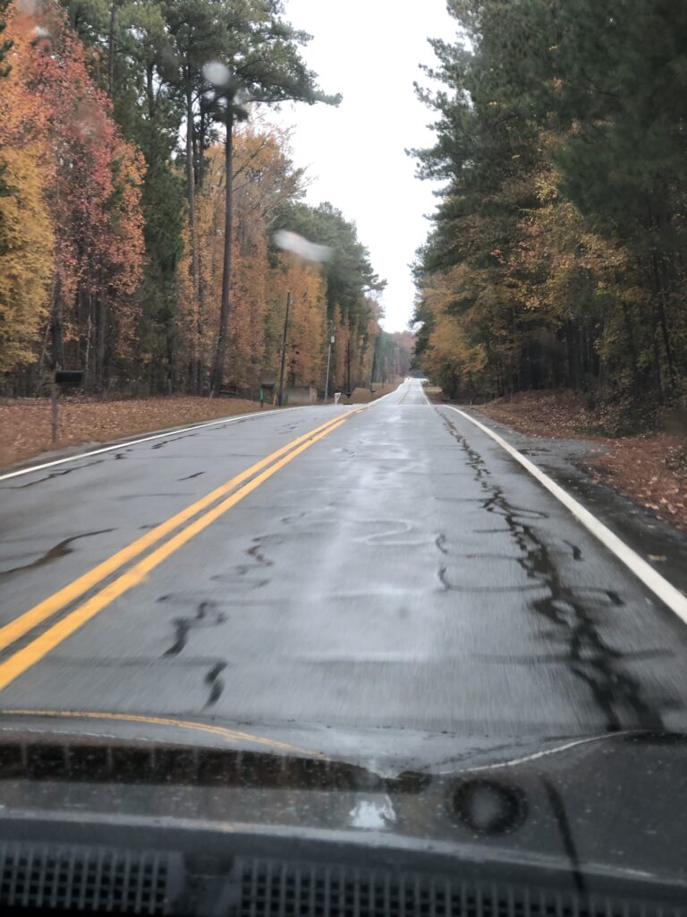 Changing colors of leaves along Hwy  42 in Monroe County 