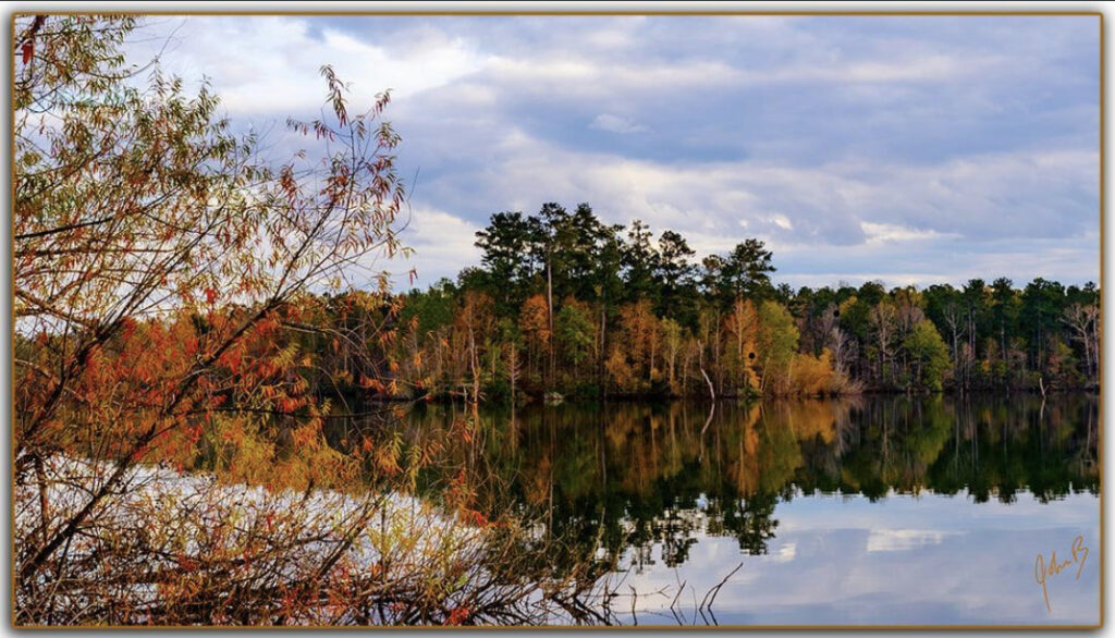 Picture of changing colors of leaves along Ocmulgee River
