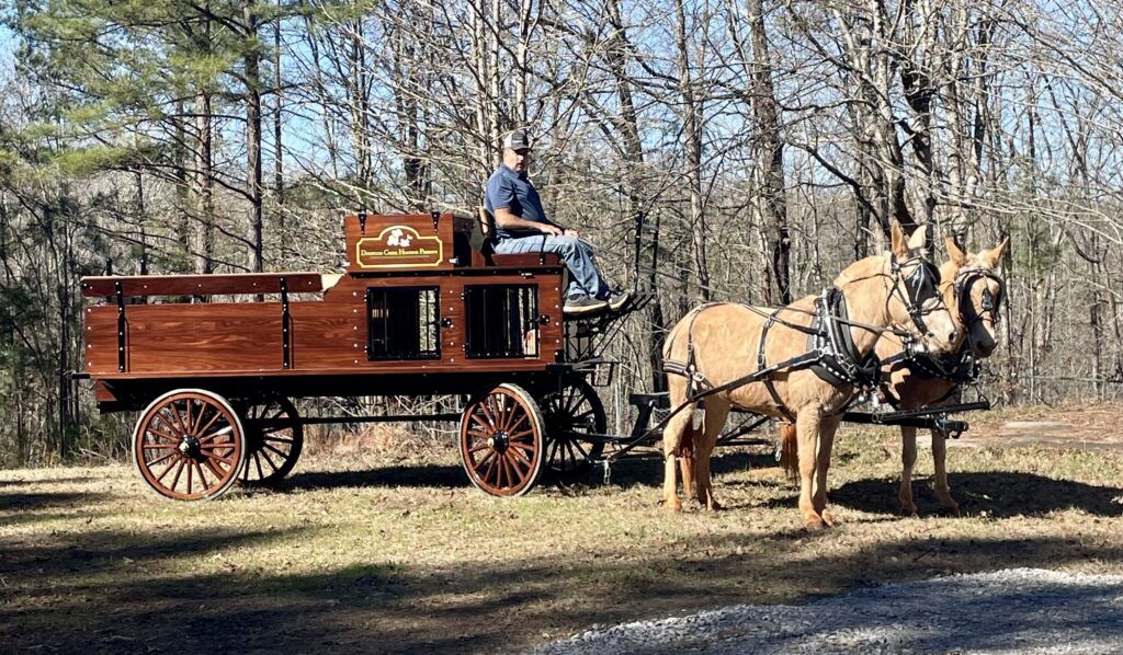 Image of wagon at Dogwood Creek Hunting Preserve 