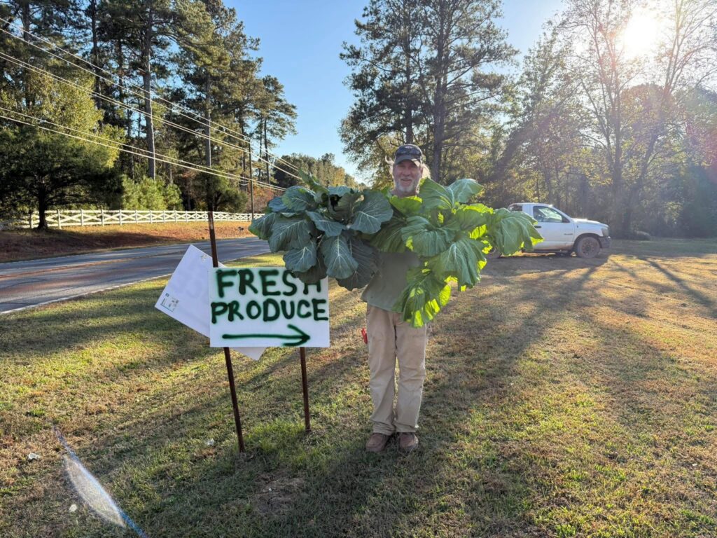 Waldrep Farms: Stop by Waldrep Farms and meet Mr. Bill, retired Mary Persons High School Ag Teacher and grower of delicious produce and beautiful flowers!